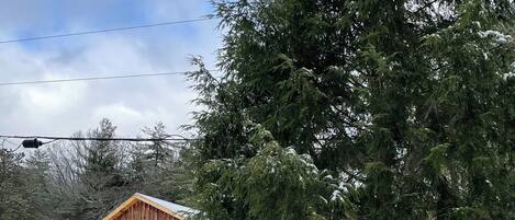 Une cabane en bois dotée d’un balcon, entourée d’arbres couverts de neige et d’une clôture en bois.
