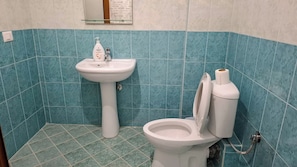 Douche, sèche-cheveux, bidet, serviettes fournies