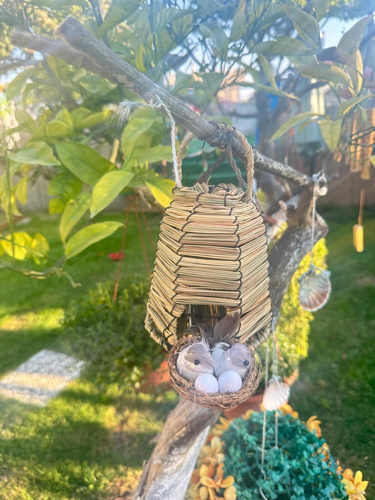 A wicker basket hanging from a tree branch with a nest containing eggs.