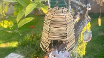 A wicker basket hanging from a tree branch with a nest containing eggs.