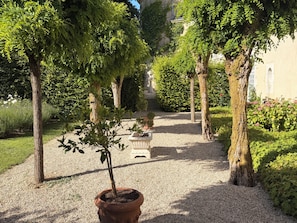 Ein Gartenweg mit Bäumen und einem Blumentopf.