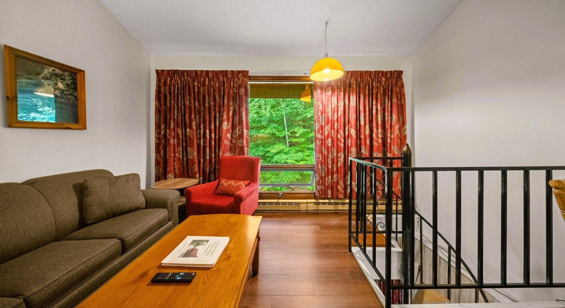 TV, fireplace, DVD player, table tennis