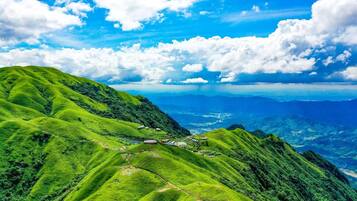 Un paisaje exuberante con colinas ondulantes y un cielo azul despejado.