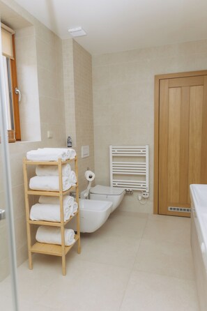 Shower, hair dryer, bidet, towels