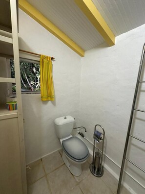 Regadera, secadora de cabello, toallas, papel de baño 