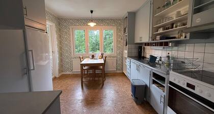 Cozy, newly renovated cottage on a natural plot on the edge of the forest