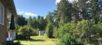 Cozy, newly renovated cottage on a natural plot on the edge of the forest