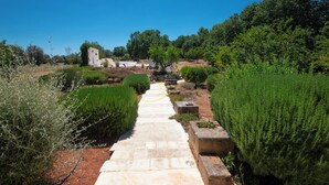 A stone pathway leading to a white building surrounded by green hedges and trees.