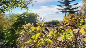Un jardin avec différentes plantes et arbres, une structure en bois et une vue sur une étendue d’eau.