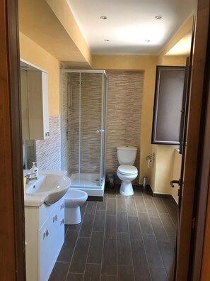 Regadera, secadora de cabello, bidet, toallas 