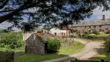 Área da propriedade