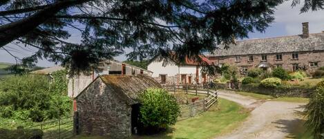 Khuôn viên nơi lưu trú