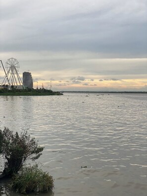 Miscellaneous - STUDIO APARTMENT NEAR THE CARNIVAL! (Barranquilla)