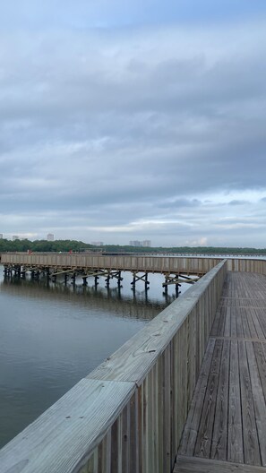 Miscellaneous - STUDIO APARTMENT NEAR THE CARNIVAL! (Barranquilla)