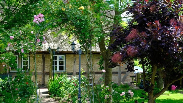 A garden pathway leading to a brick building with a window and a door. - Judie's garden in Schaalby (Schaalby)