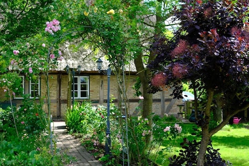 Judie's garden in Schaalby