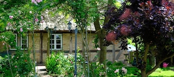 Judie's garden in Schaalby