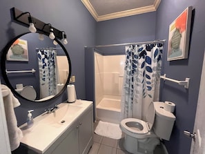 Shower, hair dryer, toilet paper
