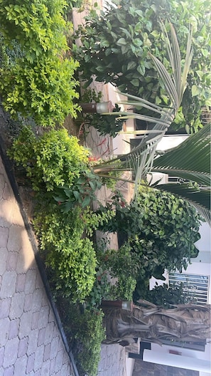 Terrace/patio - Sukuta Nema Guest House (Sukuta)