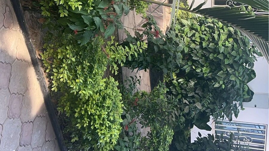 Sukuta Nema Guest House