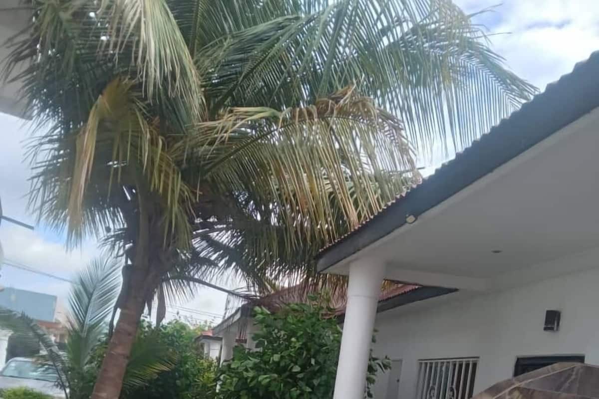 Un sendero pavimentado que lleva a un edificio con fachada de azulejos y una palmera.