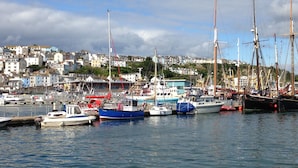 A harbor with various boats docked, a town in the background, and a clear sky.