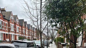 A residential street with parked cars, a sidewalk, and houses with red brick facades.