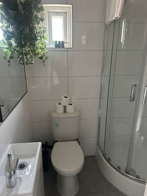 Secador de cabelo, toalhas de banho