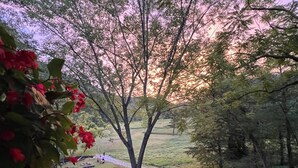 A grassy area with trees and a clear sky. - Creekside B&B Cabin – Breakfast Included – Award-Winning Appalachian Farm (Irvine)