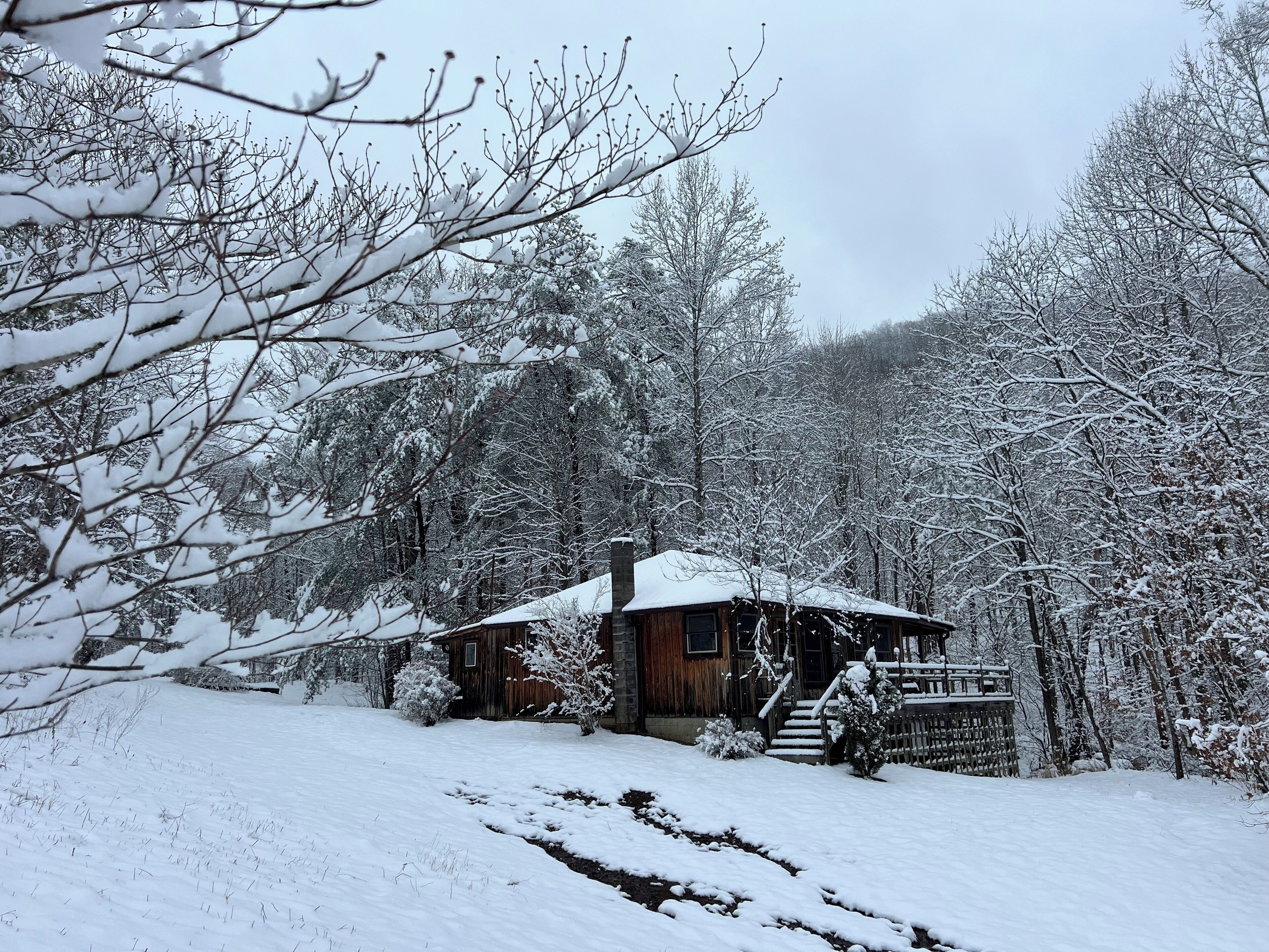 Una cabaña de madera rodeada de árboles cubiertos de nieve y un cielo despejado.