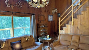 TV, fireplace, DVD player, books