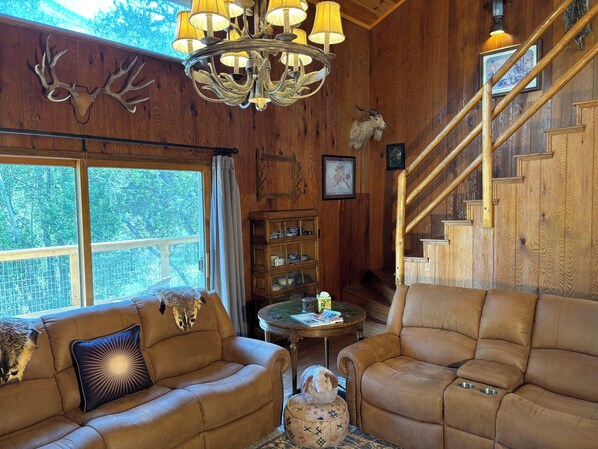TV, fireplace, DVD player, books