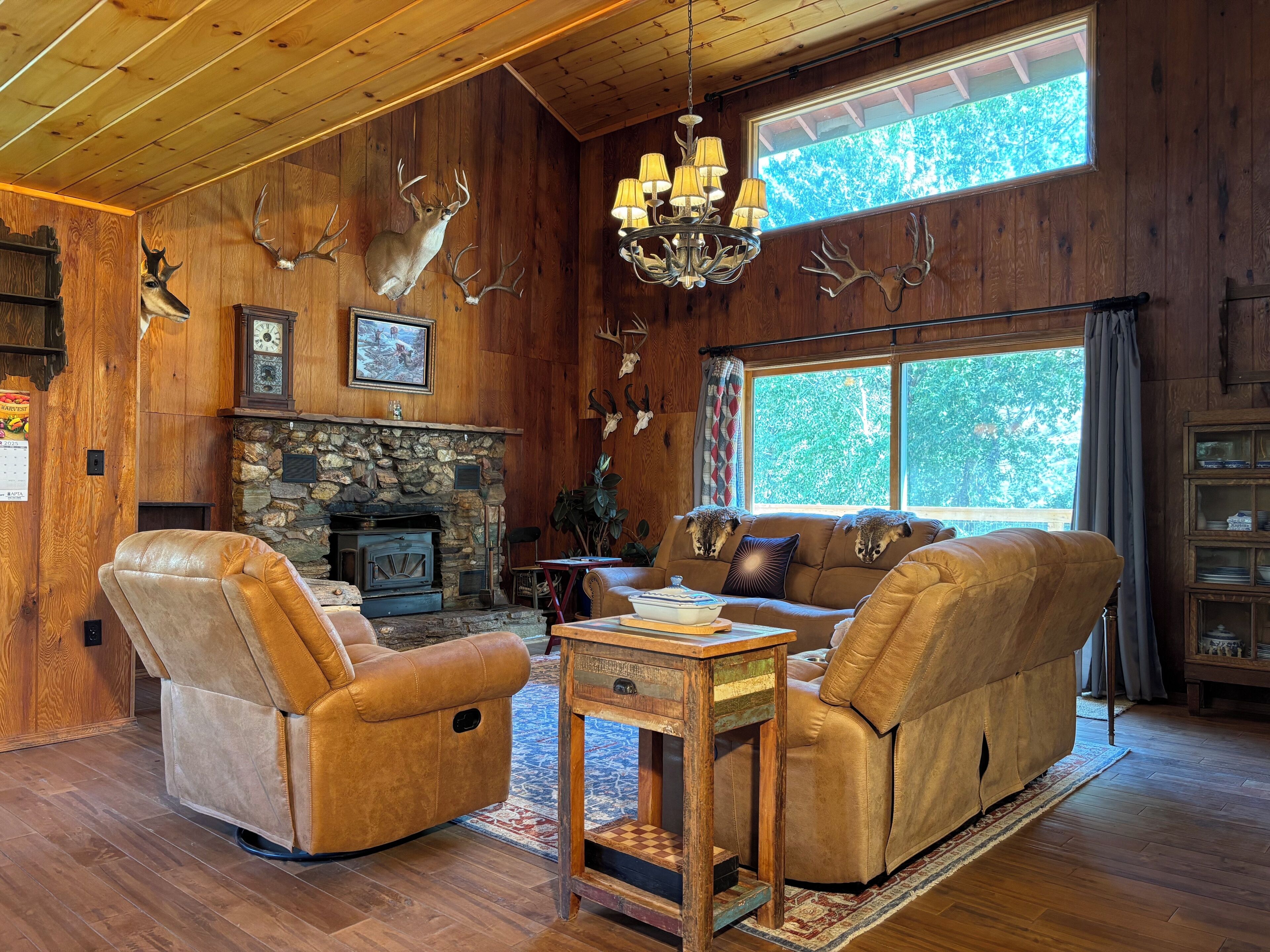 TV, lareira, DVD player, livros