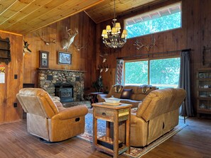 Televisión, chimenea, reproductor de DVD y libros 