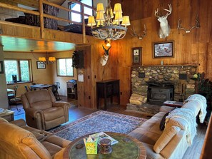 TV, lareira, DVD player, livros