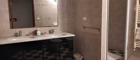 Shower, hair dryer, bidet, towels