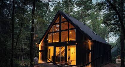 #4 Coyote at Lost Forest Cabins