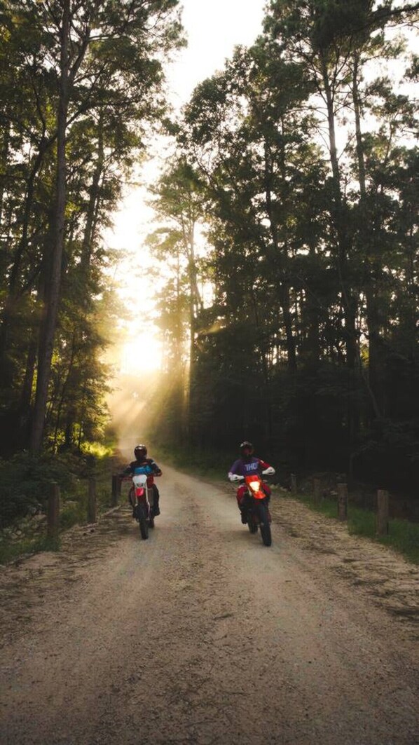 Dos motociclistas recorren un camino de tierra rodeado de árboles, con la luz del sol filtrándose entre las ramas.