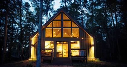 #6 Turkey Tail at Lost Forest Cabins