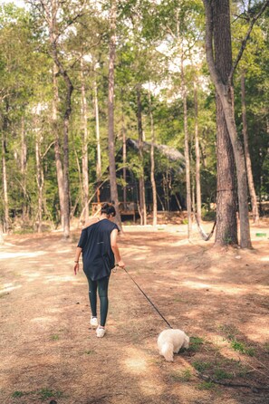 Jardines del alojamiento