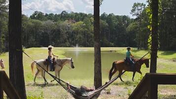 Terrein van de accommodatie