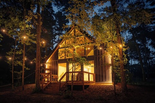 #9 Tree Frog at Lost Forest Cabins