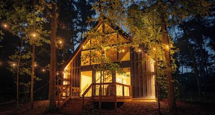 #9 Tree Frog at Lost Forest Cabins