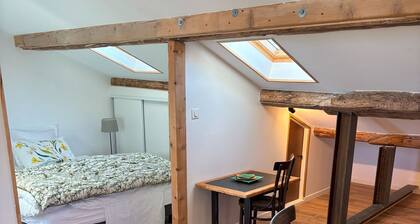 Appartement de charme dans un hotel particulier en plein centre d'Avignon