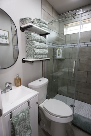 Hair dryer, towels, soap, toilet paper