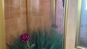 A bathroom with a shower area, a mirror, and a potted plant with green foliage and a purple flower.