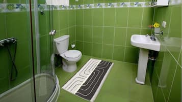 Shower, towels, soap, toilet paper