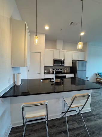 Oven, stovetop, dishwasher, coffee/tea maker. Pleasant apartment in Austin