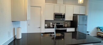 Pleasant apartment in Austin