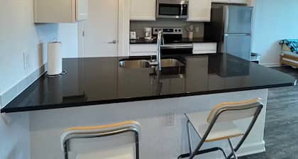 Pleasant apartment in Austin